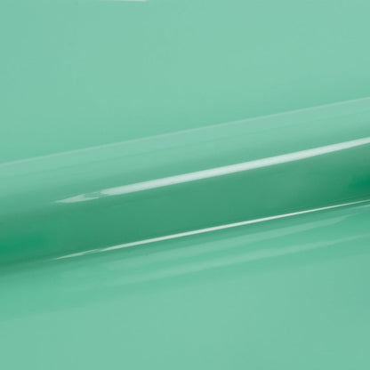 Siser - Easyweed - Vinyle Transfert à Chaud - Menthe - 30 x 100 cm