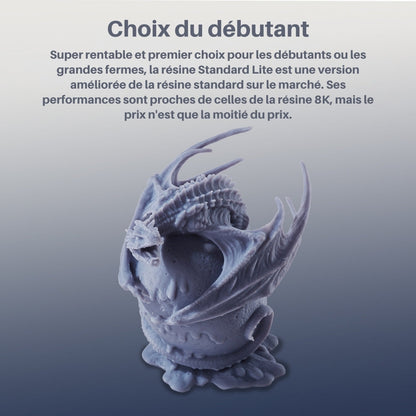 Antinsky - Standard Lite Resin