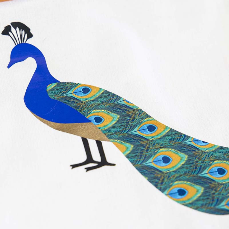 Chemica - Thermocollant - Pack 12 feuilles Animaux - 20 x 30 cm