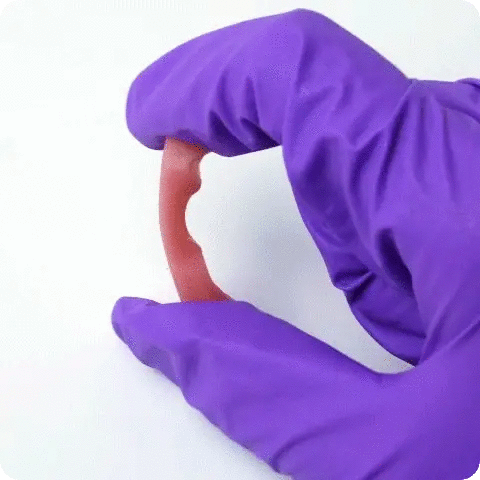 Phrozen - Gingiva Mask Resin - Rose (Pink) - 500 g