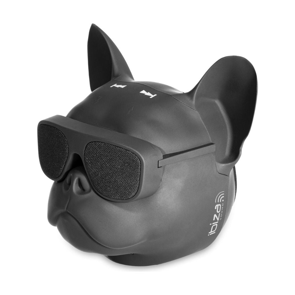 Lotronic Dog-Sound Enceinte Bluetooth