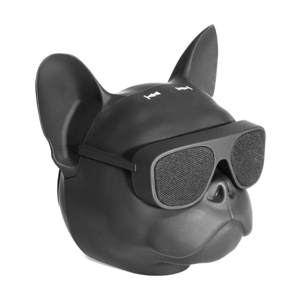 Lotronic - Dog-Sound - Enceinte Bluetooth