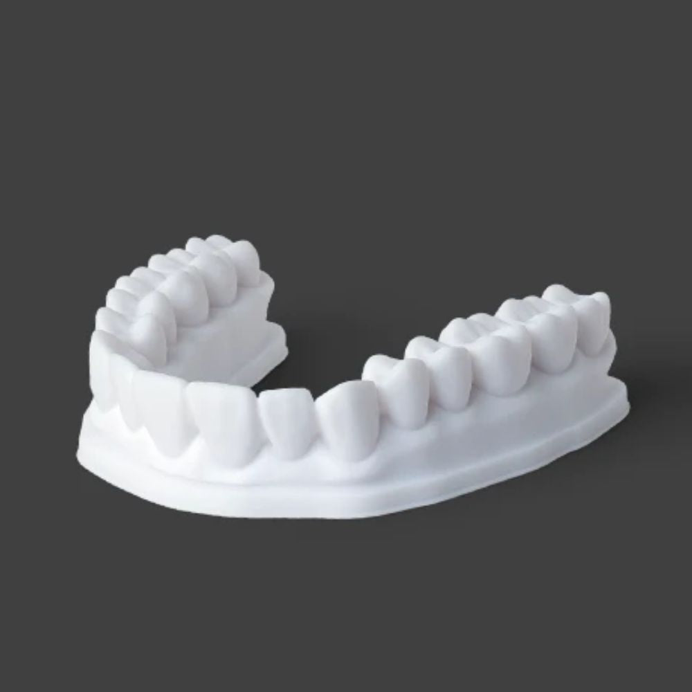 Phrozen - Dental Study Model - Blanc (White) - 1 kg