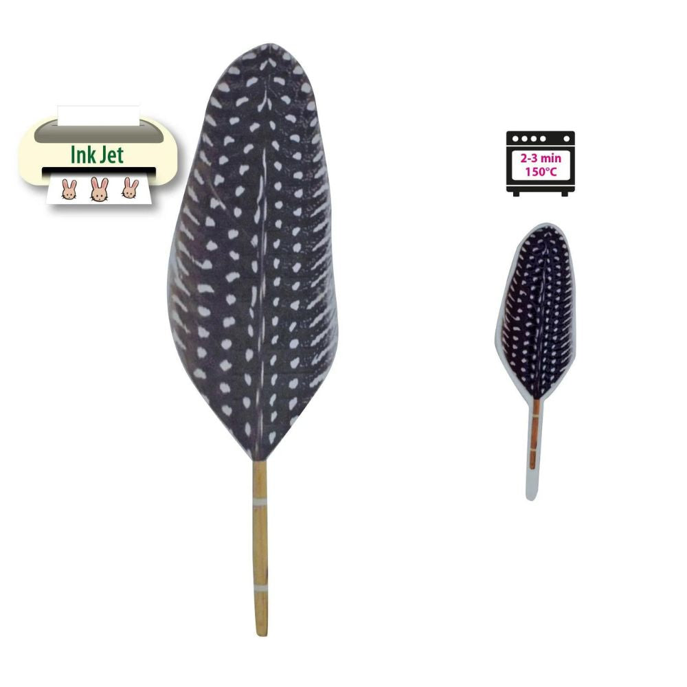 Vaessen Creative Plastique Fou Imprimable Transparent